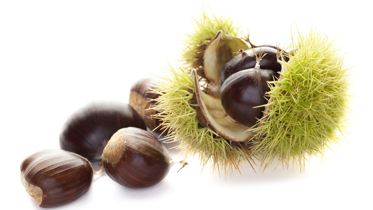 Arklio kaštonas Osteflex