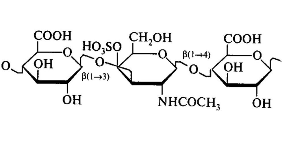 Chondroitinas Osteflex