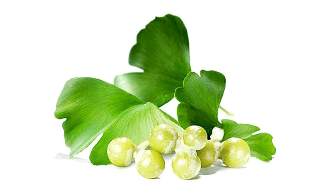 Ginkgo biloba Osteflex